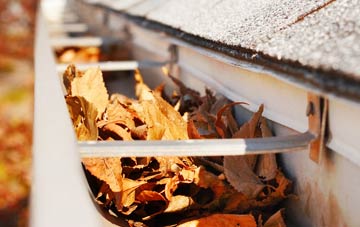 Lower Wear gutter cleaning companies
