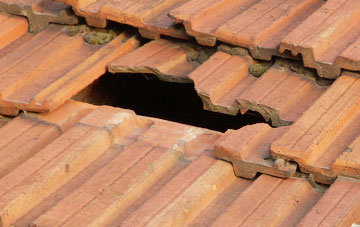 roof repair Lower Wear, Devon