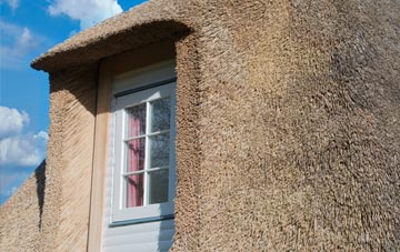 Lower Wear thatch roof disadvantages