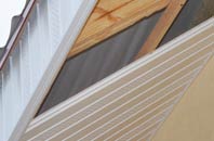 rated Lower Wear soffit repair companies